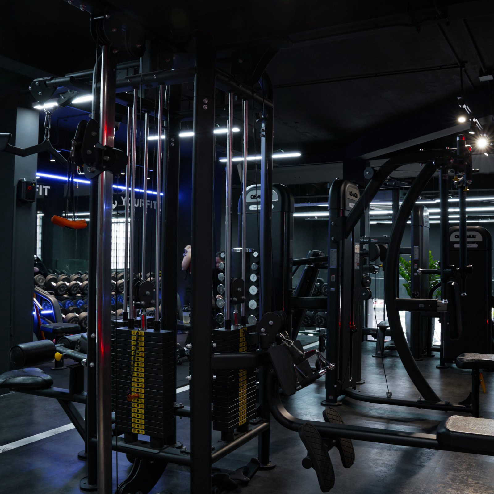 Upper Strength — khu vực 2