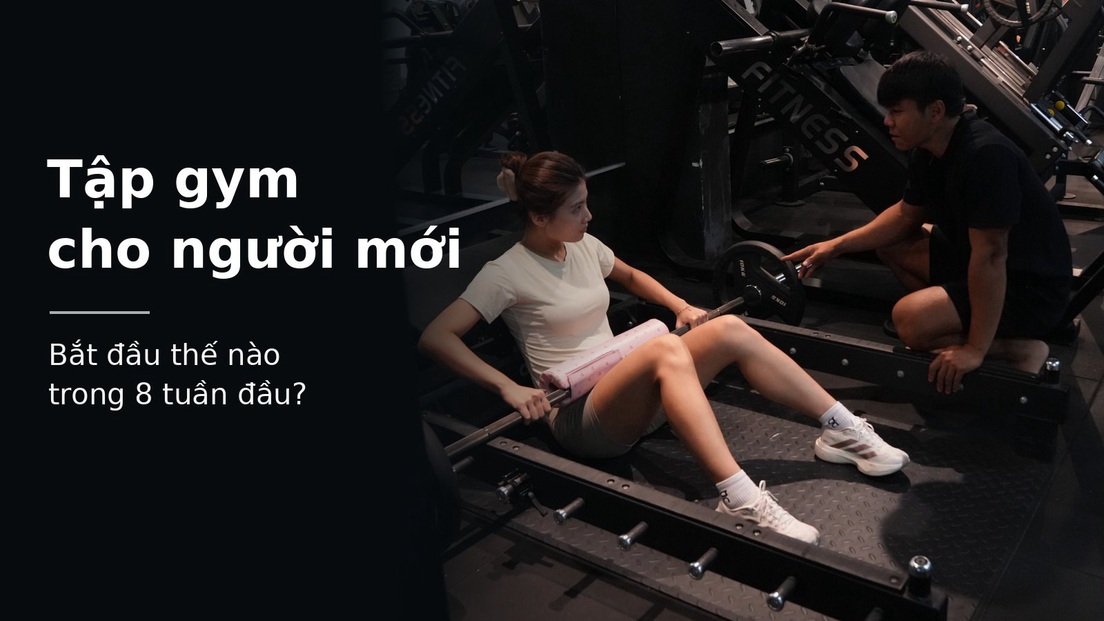 Tập gym cho người mới: Lộ trình 8 tuần đầu | YourFit Private Gym